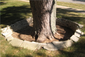 a hole with a tree in it