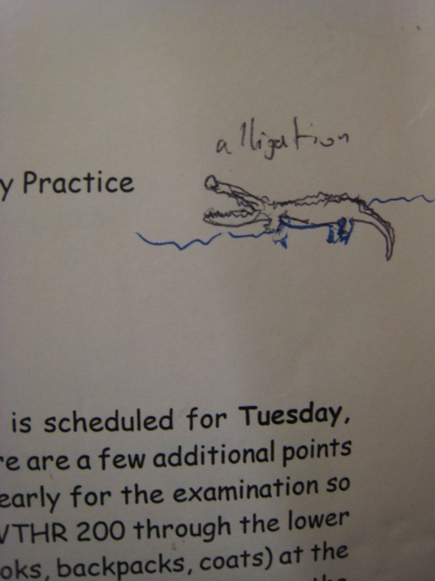 the alligation alligator